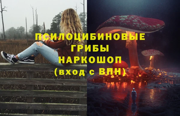 спиды Абаза