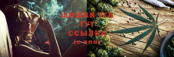 спиды Абаза