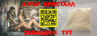 спиды Кингисепп