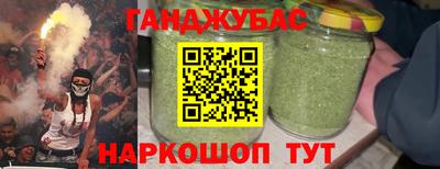 спиды Кингисепп
