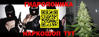амф Кимры