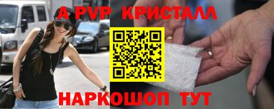 спиды Кингисепп