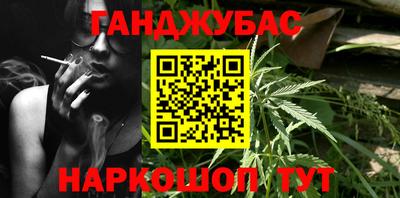 спиды Кингисепп