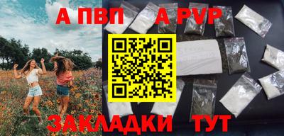 спиды Кингисепп