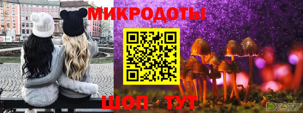 Галлюциногенные грибы Psilocybe Алапаевск