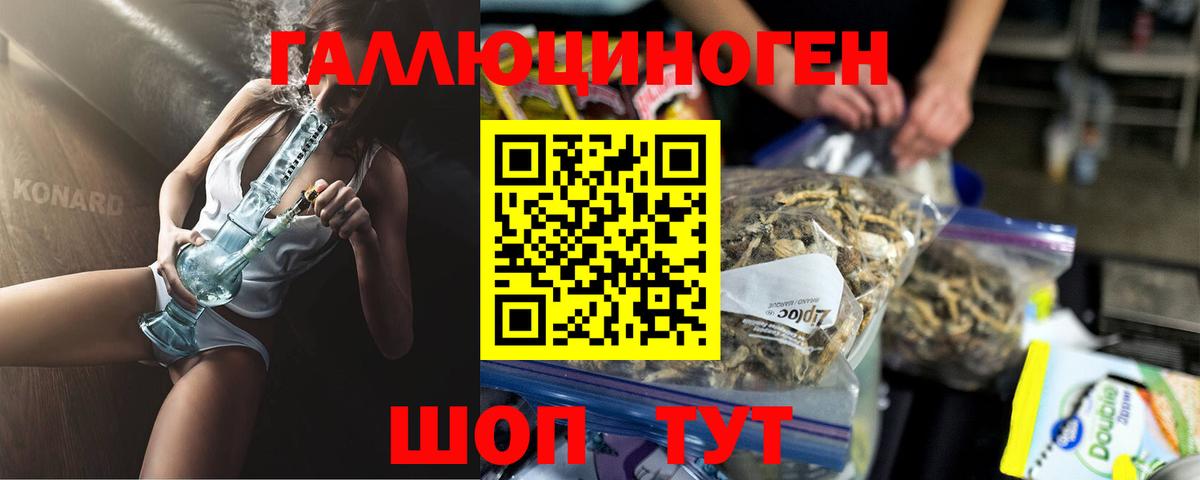 Псилоцибиновые грибы прущие грибы  Вход с VPN  Алапаевск  Псилоцибиновые грибы Psilocybe 